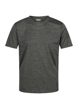 Koszulka męska Fingal Edition Regatta ze sklepu SPORT-SHOP.pl w kategorii T-shirty męskie - zdjęcie 170870224