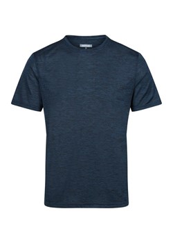 Koszulka męska Fingal Edition Regatta ze sklepu SPORT-SHOP.pl w kategorii T-shirty męskie - zdjęcie 170870493