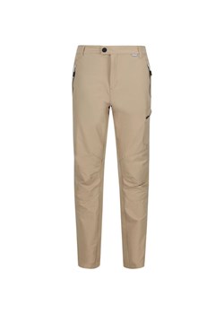 Spodnie trekkingowe męskie Highton Trousers Regatta ze sklepu SPORT-SHOP.pl w kategorii Spodnie męskie - zdjęcie 170899410