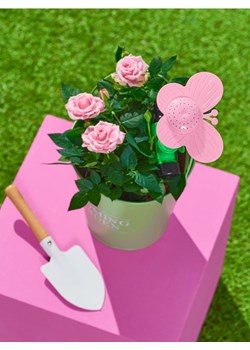 Sinsay - Zraszacz ogrodowy - różowy ze sklepu Sinsay w kategorii Pozostałe wyposażenie ogrodowe - zdjęcie 170922833