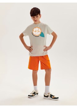 Sinsay - Koszulka z nadrukiem - szary ze sklepu Sinsay w kategorii Spodenki chłopięce - zdjęcie 171205233