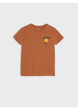 Sinsay - Koszulka - brązowy ze sklepu Sinsay w kategorii T-shirty chłopięce - zdjęcie 171216500