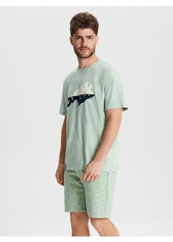 Sinsay - Koszulka z nadrukiem - zielony ze sklepu Sinsay w kategorii T-shirty męskie - zdjęcie 171227274