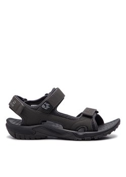 Jack Wolfskin Sandały Lakewood Cruise Sandal M 409011 Szary ze sklepu MODIVO w kategorii Sandały męskie - zdjęcie 171292212