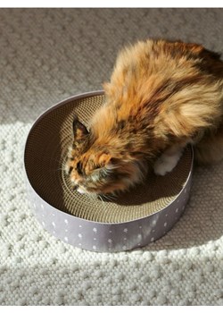 Sinsay - Drapak dla kota - wielobarwny ze sklepu Sinsay w kategorii Dla zwierząt - zdjęcie 171361070