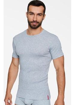 Szary t-shirt męski 1495-J27, Kolor szary, Rozmiar S, Henderson ze sklepu Primodo w kategorii T-shirty męskie - zdjęcie 171366172