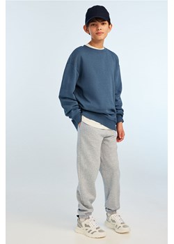 H & M - Joggersy z dzianiny dresowej Loose Fit 2-pak - Szary ze sklepu H&M w kategorii Spodnie chłopięce - zdjęcie 171438210