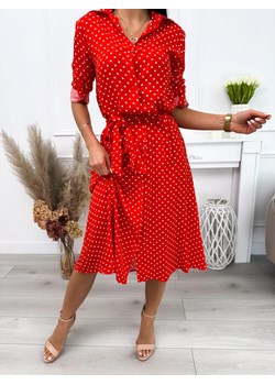 Czerwona Sukienka w Grochy z Paskiem ze sklepu ModnaKiecka.pl w kategorii Sukienki - zdjęcie 171474113