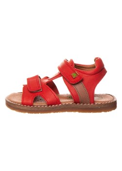 El Naturalista Skórzane sandały w kolorze czerwonym ze sklepu Limango Polska w kategorii Sandały dziecięce - zdjęcie 171550510