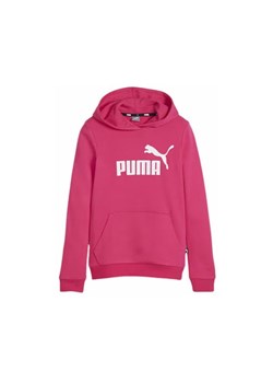 Bluza juniorska Essentials Logo Youth Hoodie Puma ze sklepu SPORT-SHOP.pl w kategorii Bluzy dziewczęce - zdjęcie 171714944
