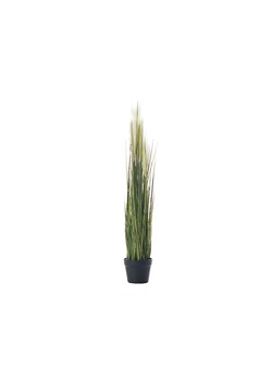 Dekoracja roślinna Pampas Grass 100cm ze sklepu dekoria.pl w kategorii Dekoracje - zdjęcie 171727072