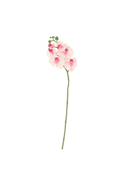 Gałązka Orchid 65cm light pink ze sklepu dekoria.pl w kategorii Dekoracje - zdjęcie 171734240