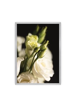 Plakat Dark Flowers I ze sklepu dekoria.pl w kategorii Obrazy - zdjęcie 171735990