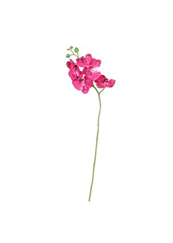 Gałązka Orchid 65cm pink ze sklepu dekoria.pl w kategorii Dekoracje - zdjęcie 171741430