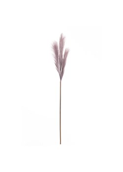Trawa pampasowa 100cm light violet ze sklepu dekoria.pl w kategorii Dekoracje - zdjęcie 171741584