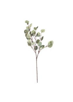 Gałązka Eukaliptusa 68cm ze sklepu dekoria.pl w kategorii Dekoracje - zdjęcie 171750831