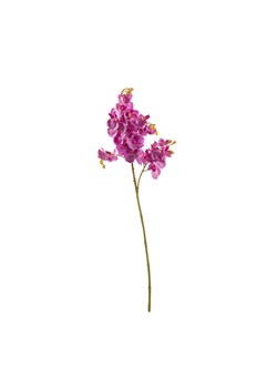 Kwiat Orchid Fuchsia 55cm ze sklepu dekoria.pl w kategorii Dekoracje - zdjęcie 171758321