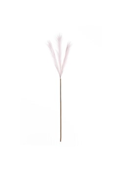 Trawa pampasowa 100cm light pink ze sklepu dekoria.pl w kategorii Dekoracje - zdjęcie 171765590