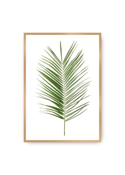 Plakat Palm Leaf Green ze sklepu dekoria.pl w kategorii Obrazy - zdjęcie 171777714