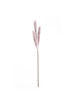 Trawa pampasowa 100cm lilac ze sklepu dekoria.pl w kategorii Dekoracje - zdjęcie 171786504