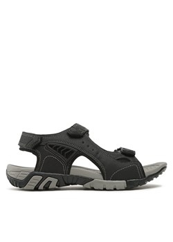 Sandały Whistler Tegale Unisex Sandal W232211 Czarny ze sklepu eobuwie.pl w kategorii Sandały męskie - zdjęcie 171948961