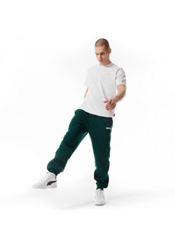 Męskie spodnie dresowe Prosto Digo - zielone ze sklepu Sportstylestory.com w kategorii Spodnie męskie - zdjęcie 171961941