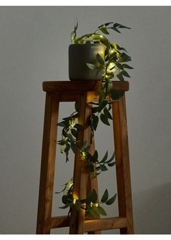 Sinsay - Lampki LED - zielony ze sklepu Sinsay w kategorii Oświetlenie led - zdjęcie 171995240