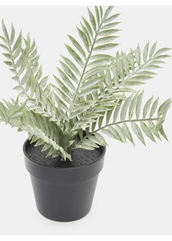 Sinsay - Roślina ozdobna - zielony ze sklepu Sinsay w kategorii Dekoracje - zdjęcie 171995371