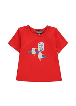 T-shirt dziecięcy czerwony mewy  czerwony ze sklepu 5.10.15 w kategorii Koszulki niemowlęce - zdjęcie 172002813