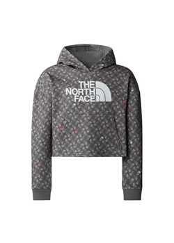 Bluza z kapturem dziewczęca The North Face DREW PEAK LIGHT szara NF0A8872VIJ ze sklepu a4a.pl w kategorii Bluzy dziewczęce - zdjęcie 172023161
