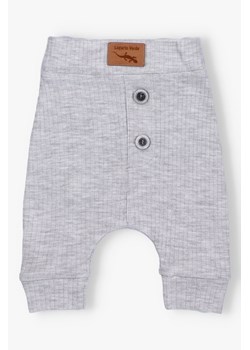 Spodnie niemowlęce z dzianiny prążkowej -  szare - Lagarto Verde ze sklepu 5.10.15 w kategorii Odzież dla niemowląt - zdjęcie 172084210