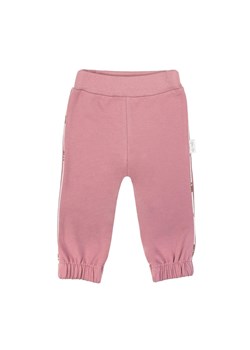 Bawełniane spodnie dziewczęce w kolorze wrzosowym ze sklepu 5.10.15 w kategorii Spodnie i półśpiochy - zdjęcie 172084214