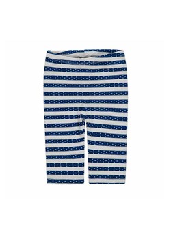 Dziewczęce legginsy szare w niebieskie paski ze sklepu 5.10.15 w kategorii Odzież dla niemowląt - zdjęcie 172084261