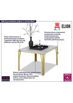 Stolik kawowy w stylu glamur złoty + beton S1-N14 ze sklepu Edinos.pl w kategorii Stoliki kawowe - zdjęcie 172218982
