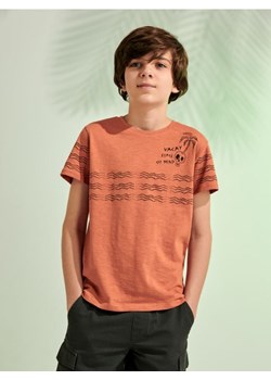 Sinsay - Koszulka z nadrukiem - brązowy ze sklepu Sinsay w kategorii T-shirty chłopięce - zdjęcie 172271333