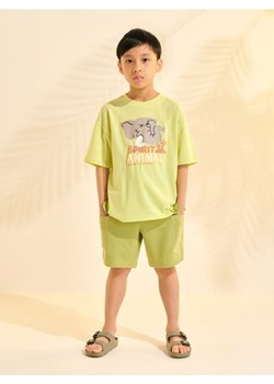 Sinsay - Komplet: koszulka i szorty - zielony ze sklepu Sinsay w kategorii Komplety chłopięce - zdjęcie 172271492
