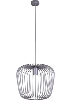 Szara loftowa lampa wisząca młodzieżowa - 5X S547 W2-E77 ze sklepu Edinos.pl w kategorii Lampy wiszące - zdjęcie 172320561