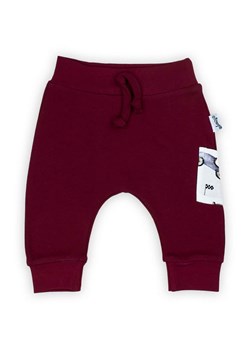 Bordowe spodnie dresowe dla chłopca ze sklepu 5.10.15 w kategorii Spodnie i półśpiochy - zdjęcie 172338340