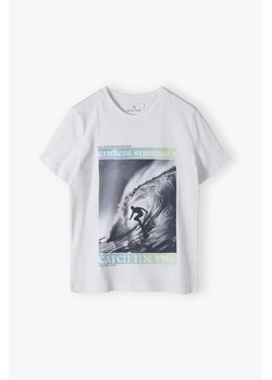 T-shirt chłopięcy z nadrukiem - Lincoln&Sharks ze sklepu 5.10.15 w kategorii T-shirty chłopięce - zdjęcie 172338392