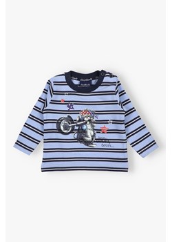 Bluza chłopięca ze sklepu 5.10.15 w kategorii Odzież dla niemowląt - zdjęcie 172346161