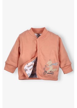 Niemowlęca bluza CUTE CARS z bawełny- pomarańczowa ze sklepu 5.10.15 w kategorii Bluzy i swetry - zdjęcie 172402971