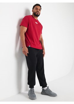Sinsay - Spodnie dresowe - czarny ze sklepu Sinsay w kategorii Spodnie męskie - zdjęcie 172433193