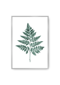 Plakat Fern Emerald Green ze sklepu dekoria.pl w kategorii Obrazy - zdjęcie 172474144