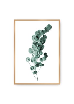 Plakat Eucalyptus Emerald Green ze sklepu dekoria.pl w kategorii Obrazy - zdjęcie 172474183
