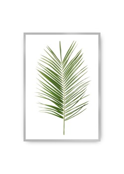 Plakat Palm Leaf Green ze sklepu dekoria.pl w kategorii Obrazy - zdjęcie 172474200