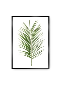 Plakat Palm Leaf Green ze sklepu dekoria.pl w kategorii Obrazy - zdjęcie 172474201