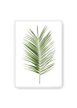 Plakat Palm Leaf Green ze sklepu dekoria.pl w kategorii Obrazy - zdjęcie 172474202