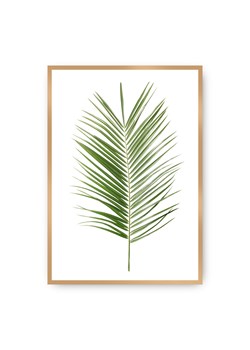 Plakat Palm Leaf Green ze sklepu dekoria.pl w kategorii Obrazy - zdjęcie 172474203
