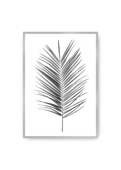 Plakat Palm Leaf Green ze sklepu dekoria.pl w kategorii Obrazy - zdjęcie 172474204