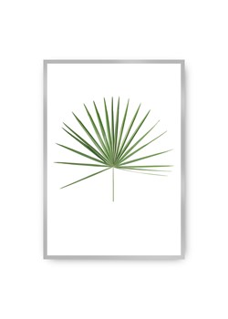 Plakat Tropical Leaf Green ze sklepu dekoria.pl w kategorii Obrazy - zdjęcie 172474260